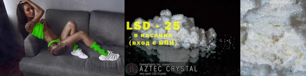 крисы Алзамай