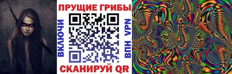 где купить наркотик  Апатиты  Псилоцибиновые грибы MAGIC MUSHROOMS 
